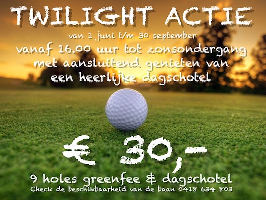 twilight--actie-2017.jpg